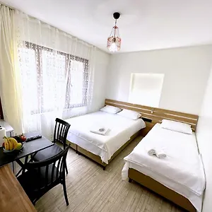 3* Отель Menesa